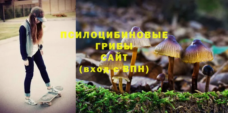 Галлюциногенные грибы MAGIC MUSHROOMS  Болохово 